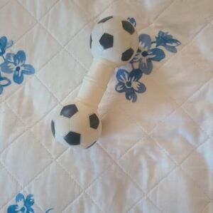 dog toy